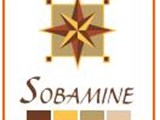 SOMABINE